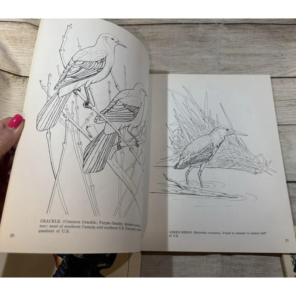 3 Vintage Books Dover Audubon Birds Field Guide to Coloring Fifty Favorite TubX